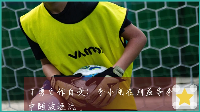 丁勇自作自受；李小刚在利益争夺中随波逐流